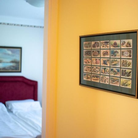 Apartmán Kiskakas Vendeghaz Székkutas Exteriér fotografie